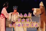 窦娥冤 全集