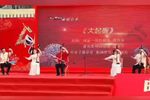 大起板 选段下载