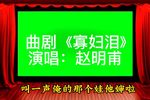 寡妇泪 选段