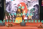 七郎八虎下南唐 全集