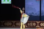 对花枪 全集下载