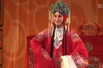 杨门女将 全集