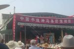 疯哑怨 全集下载