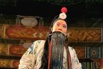 无佞府 选段下载