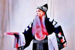 收姜维下载