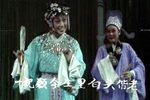 汧国夫人下载