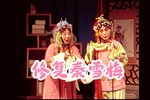秦雪梅 全集下载