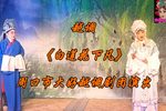 白莲花下凡 全集下载