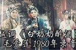 白奶奶醉酒 适才房中打了一个盹 选段下载