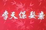 李天保娶亲 全集下载