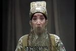 收姜维下载