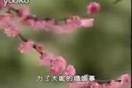 李天保取妻 选段下载