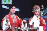 疯哑怨 全集下载