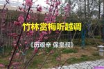 历艰辛 保皇叔 选段