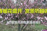 三献爵孔明我躬身拜叩 选段