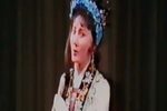 双灵牌