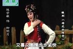 绣花女传奇 全集