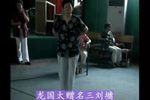 刘公案 选段下载