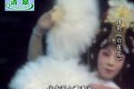 白莲花 全集下载