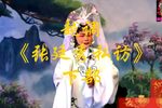 张廷秀私访 下集下载
