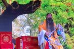 崇祯吊死煤山