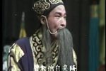 收姜维 选段下载
