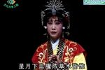 英娘 全集下载