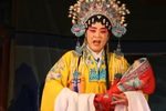 二进宫下载