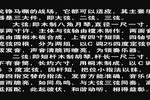 申遗 选段