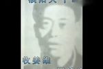 收姜维下载