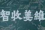 智收姜维