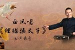 狸猫换太子下载