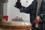 哭黛玉 选段