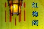 京韵大鼓骆玉笙音配像集下载