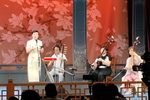 黛玉焚稿下载