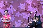黛玉焚稿/宝玉探晴雯 选段