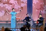 俞伯牙摔琴/剑阁闻铃/重整河山待后生下载