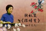 探晴雯