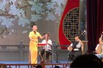 黛玉焚稿/庞统献计/哭黛玉 选段下载