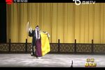 杨家将 全集