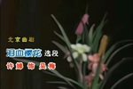 泪血樱花 选段下载