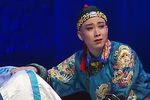 少年天子 选段