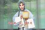刘兰芝 全集下载