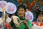 少年天子 选段