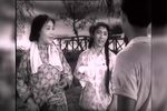 箭杆河边下载