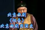 烟壶 全集