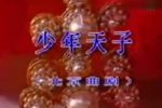 少年天子 全集下载