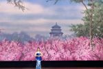 珍妃泪/啼笑姻缘 选段下载