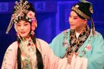 碧波仙子 全集下载