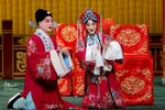 凤还巢 全集下载